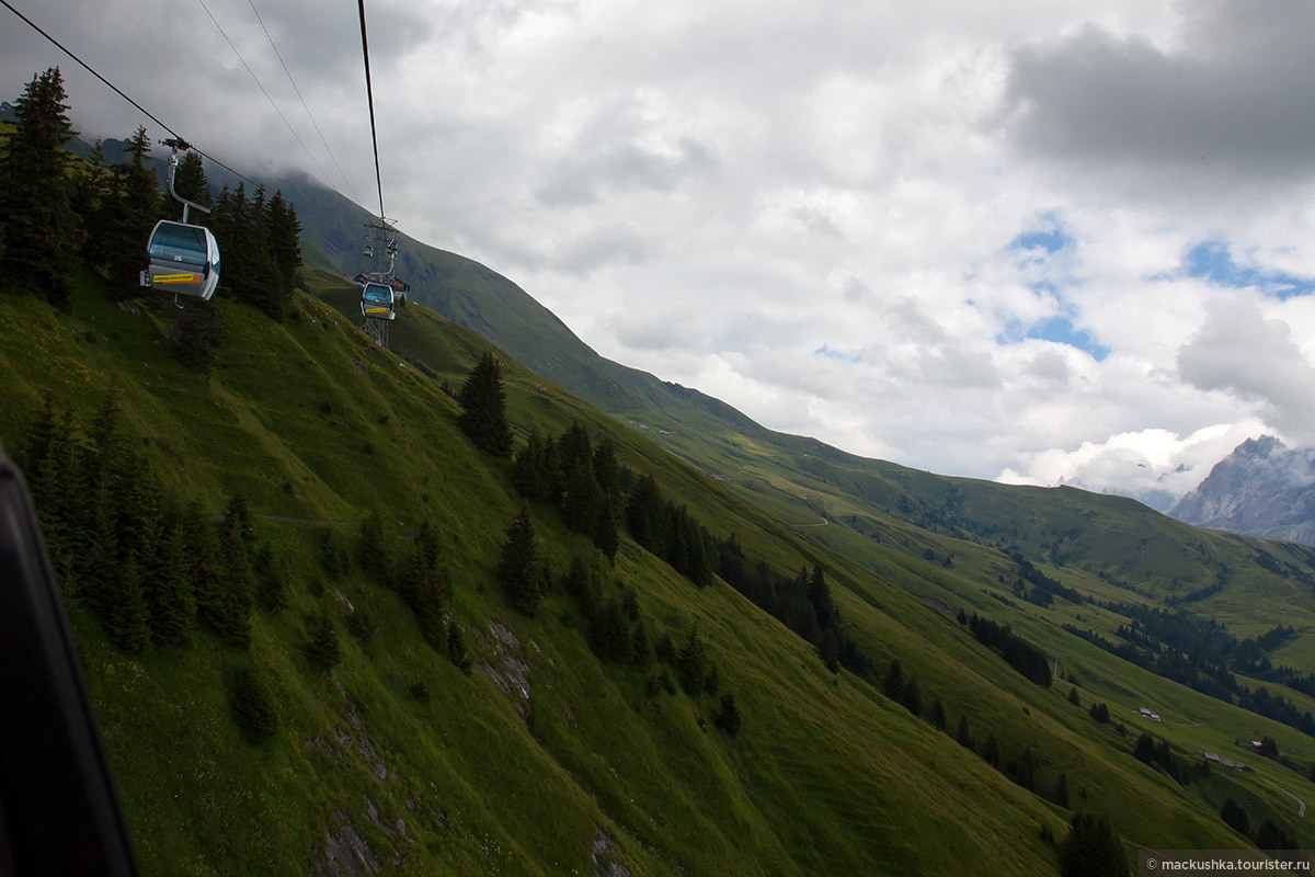 First, Grindelwald